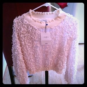 Zara ~Brand New ~ See through Top